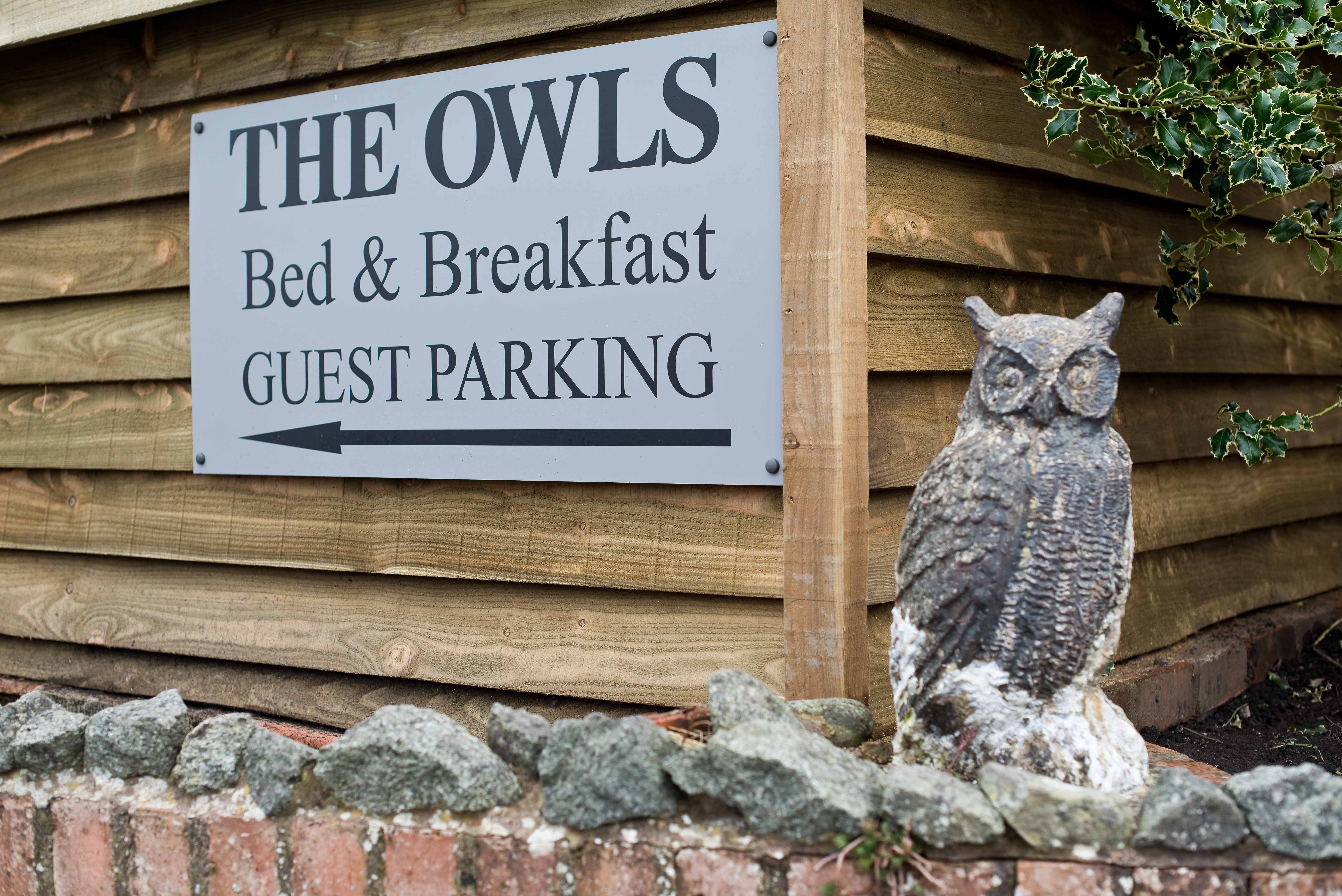 The Owls