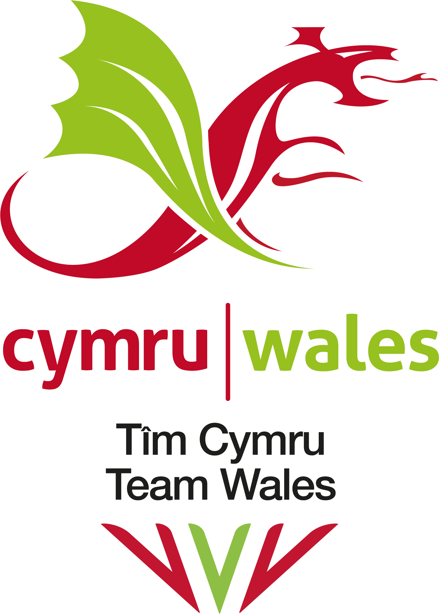Team_Wales_CWG_logo.png