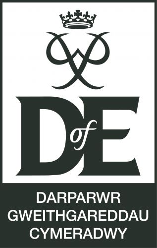 AAP WELSH DofE logo Gunmetal (2).jpg