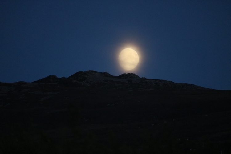 Sêr-Syllu (Gwanwyn, Hydref a Gaeaf)