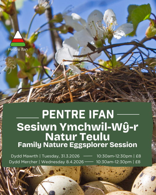 YmchwilWY'r Natur (1).png