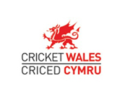cricket-wales.jpg