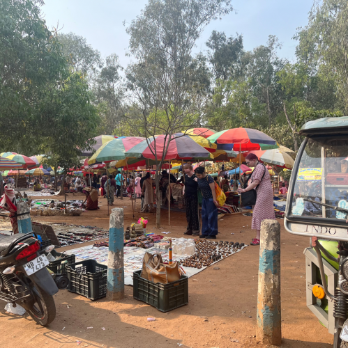 Lluniau India i'r wefan (4).png