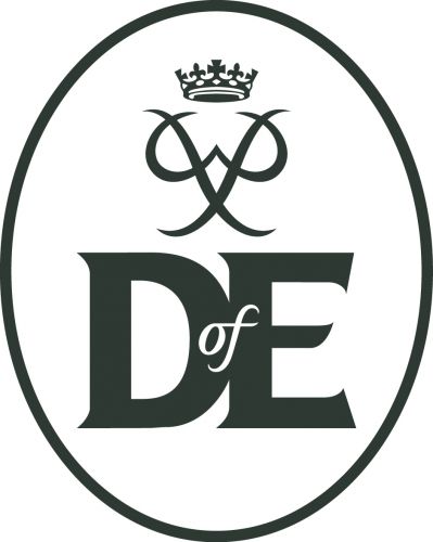 DofE Merchandise logo gunmetal RGB.jpg