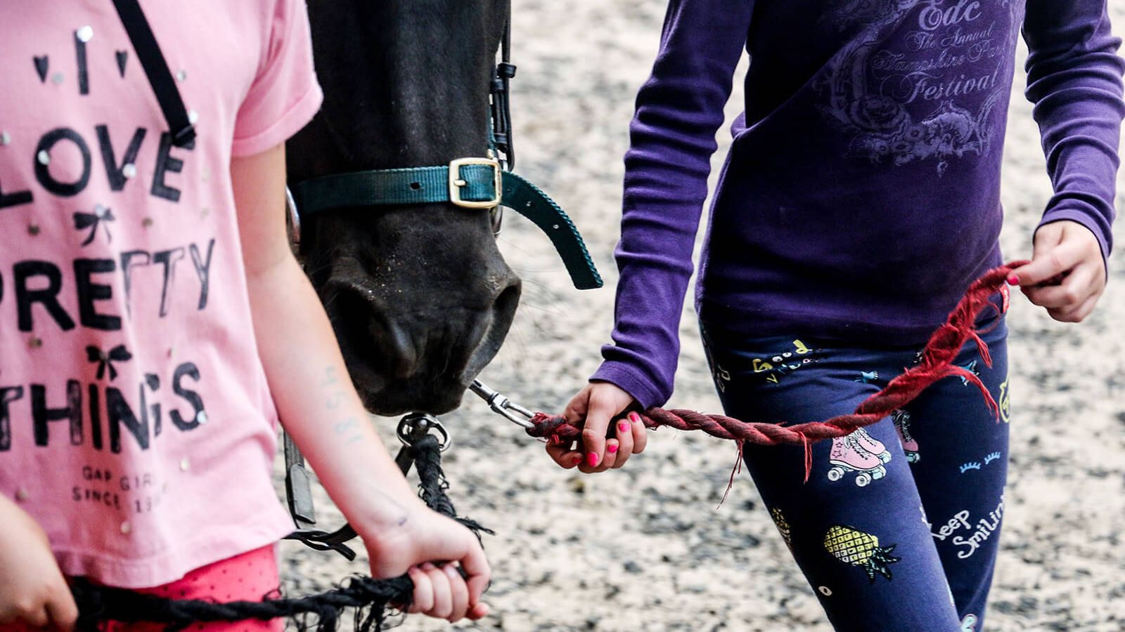 Equine Centre